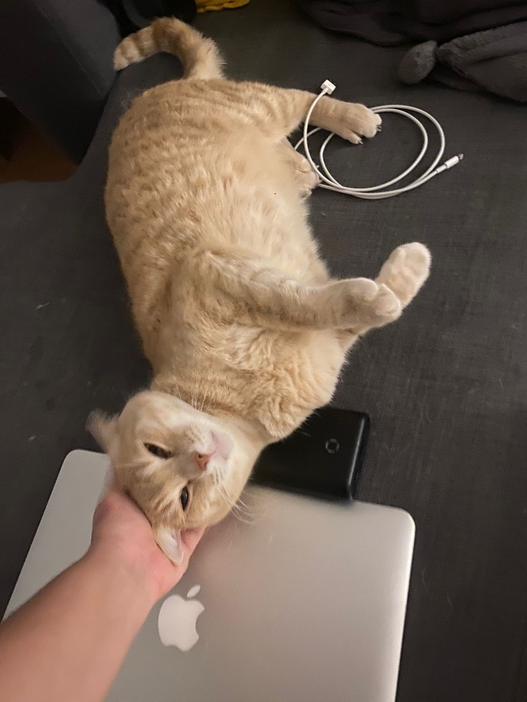Simba