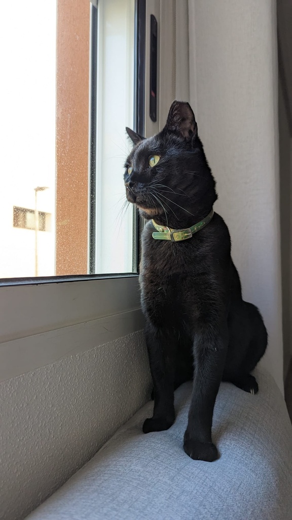 Kuroh