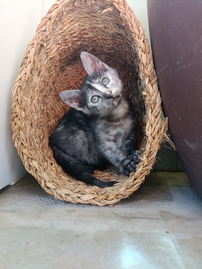 Tierra