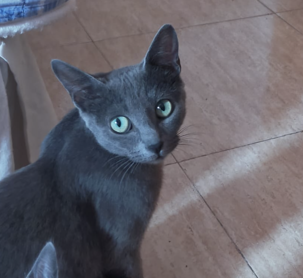 Fiona